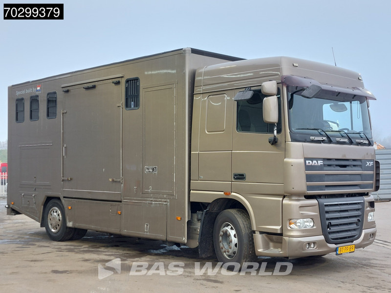 DAF XF105.410 XF 4X2 NL-Truck JK Horsetruck 6 Horses Pferdentransport Manual Euro 5 - Коневоз: фото 3 DAF XF105.410 XF 4X2 NL-Truck JK Horsetruck 6 Horses Pferdentransport Manual Euro 5 - Коневоз: фото 3