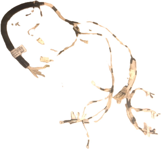 Wire Set for Caterpillar - Кабели/ Провода для Погрузочно-разгрузочной техники: фото 1 Wire Set for Caterpillar - Кабели/ Провода для Погрузочно-разгрузочной техники: фото 1