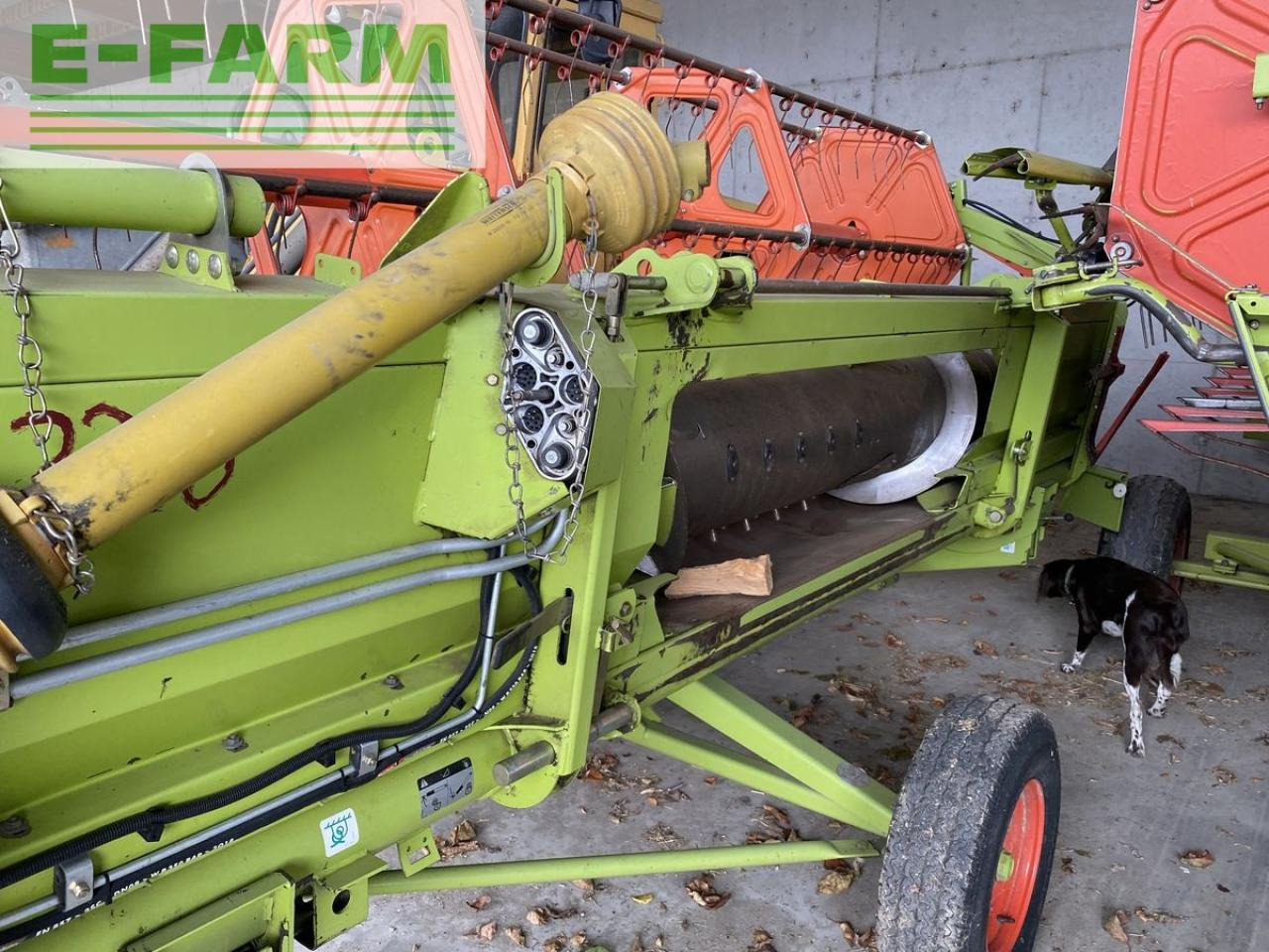 CLAAS c 430 - Жатка зерновая: фото 4 CLAAS c 430 - Жатка зерновая: фото 4