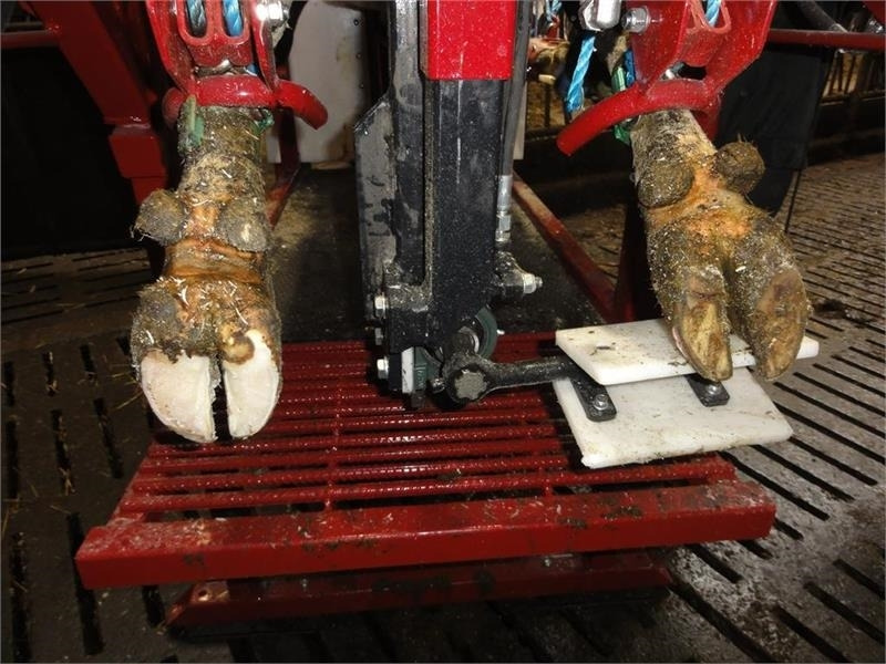 Pomi Std1 Fabriksny - Инвентарь для животноводства: фото 4 Pomi Std1 Fabriksny - Инвентарь для животноводства: фото 4