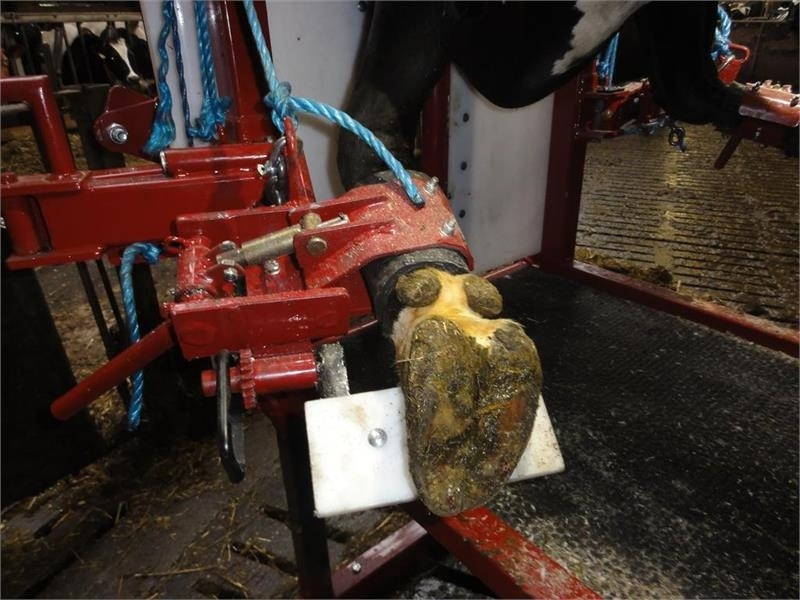 Pomi Std1 Fabriksny - Инвентарь для животноводства: фото 3 Pomi Std1 Fabriksny - Инвентарь для животноводства: фото 3