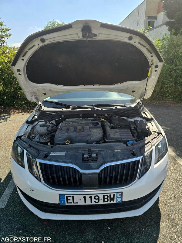 Легковой автомобиль EL-119-BW - Non Roulant - SKODA OCTAVIA  - CG INTEGRAL - 250 000 Kms: фото 14