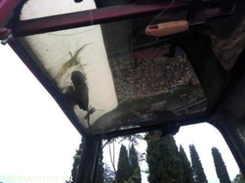 Mini-pelle - Мини-экскаватор: фото 2 Mini-pelle - Мини-экскаватор: фото 2