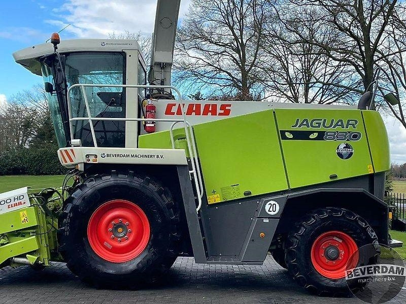 Claas Jaguar 830 492 - Кормоуборочный комбайн: фото 5 Claas Jaguar 830 492 - Кормоуборочный комбайн: фото 5