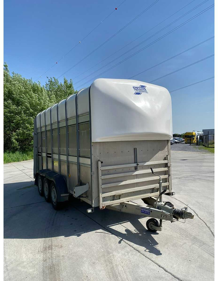 Ifor Williams Trailers TA510G14/3 7' DECKS - Прицеп для перевозки животных: фото 1 Ifor Williams Trailers TA510G14/3 7' DECKS - Прицеп для перевозки животных: фото 1