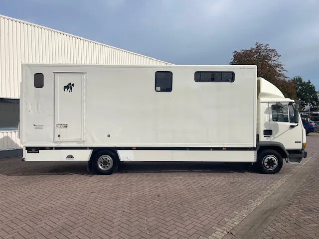 DAF LF 45.130 CLEAN HORSES NL-TRUCK - Коневоз: фото 5 DAF LF 45.130 CLEAN HORSES NL-TRUCK - Коневоз: фото 5