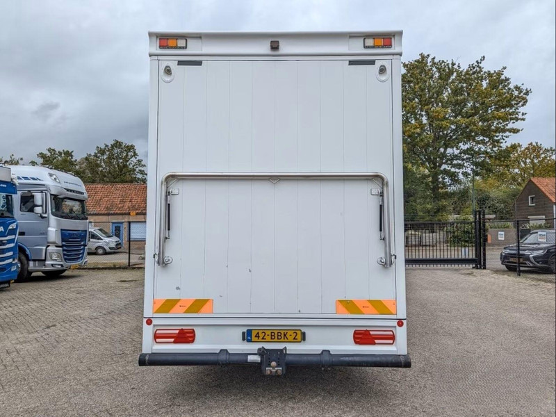 MAN TGL 12.250 - Horse transporter - Коневоз: фото 4 MAN TGL 12.250 - Horse transporter - Коневоз: фото 4