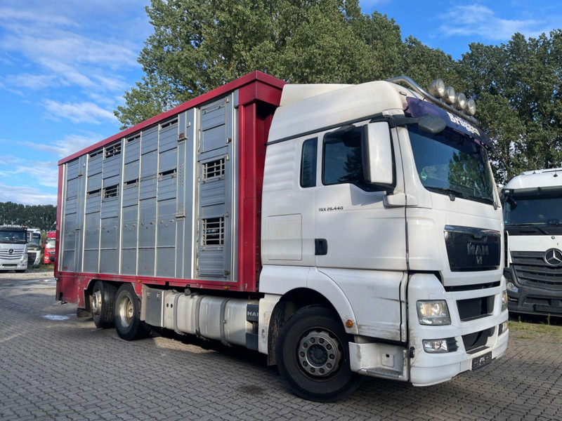 MAN TGX 26.400 6x2-2 LL 3 Stück Finkl Hubdach - Грузовик для перевозки животных: фото 1 MAN TGX 26.400 6x2-2 LL 3 Stück Finkl Hubdach - Грузовик для перевозки животных: фото 1