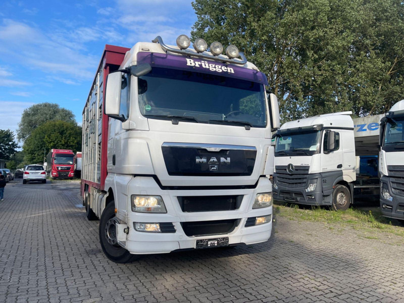 MAN TGX 26.400 6x2-2 LL 3 Stück Finkl Hubdach - Грузовик для перевозки животных: фото 4 MAN TGX 26.400 6x2-2 LL 3 Stück Finkl Hubdach - Грузовик для перевозки животных: фото 4