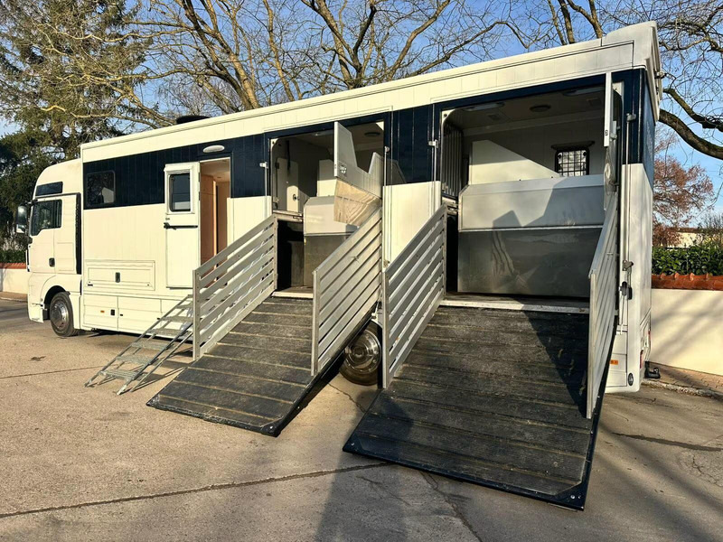 MAN TGX 26.440 - Horse transporter - Коневоз: фото 5 MAN TGX 26.440 - Horse transporter - Коневоз: фото 5