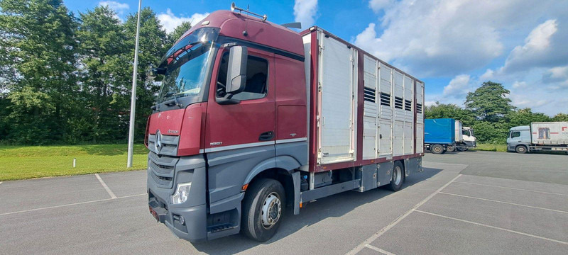 Mercedes-Benz Actros 1851 - Грузовик для перевозки животных: фото 1 Mercedes-Benz Actros 1851 - Грузовик для перевозки животных: фото 1
