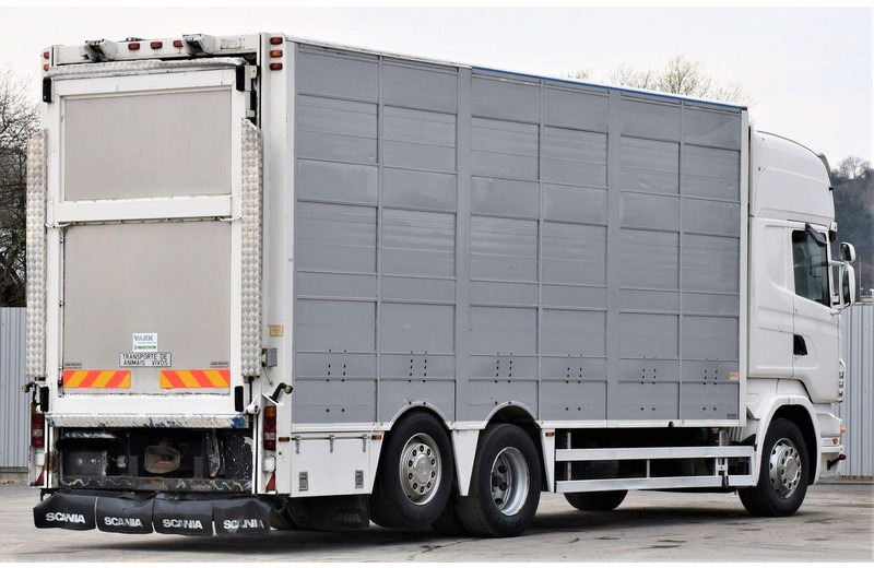 Scania R 500 - Грузовик для перевозки животных: фото 5 Scania R 500 - Грузовик для перевозки животных: фото 5