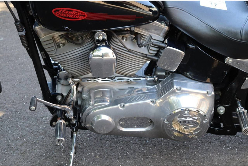 Мотоцикл Harley-Davidson Softail Custom: фото 14