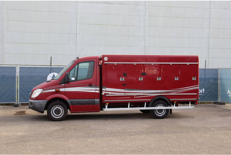 Mercedes-Benz 313CDI - Фургон с закрытым кузовом: фото 1 Mercedes-Benz 313CDI - Фургон с закрытым кузовом: фото 1